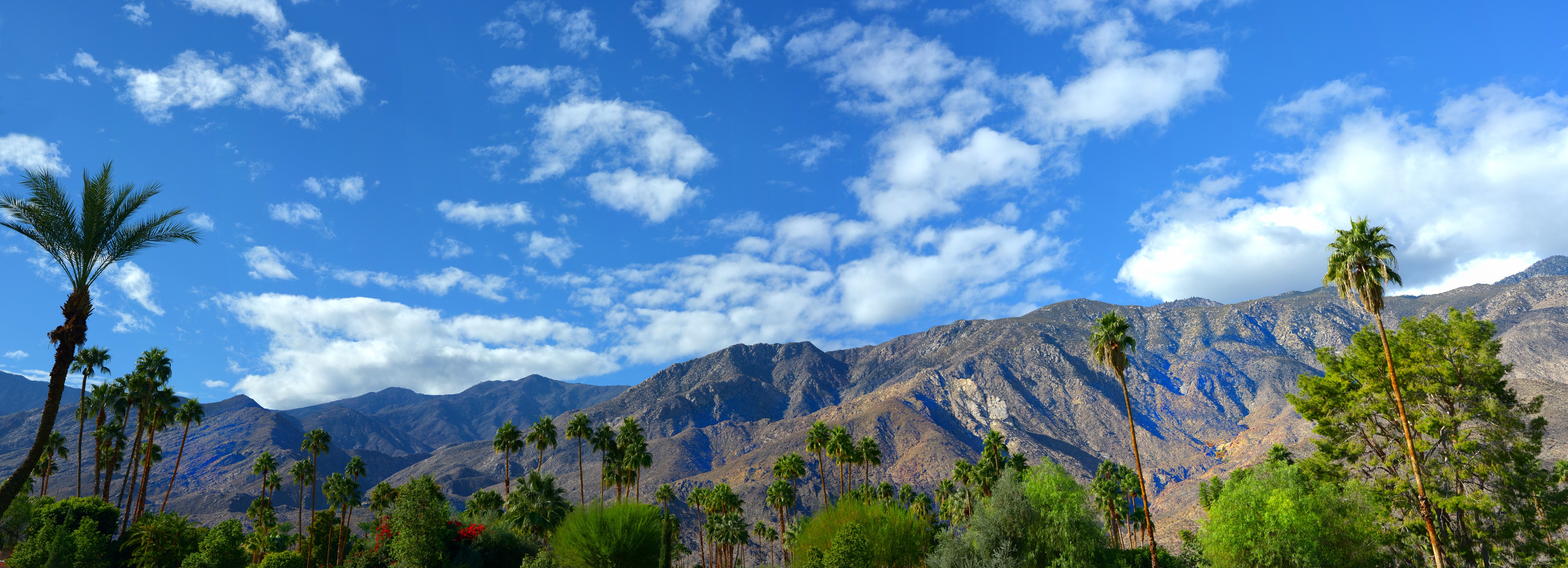 5 coisas para fazer sem carteira em Palm Springs 
